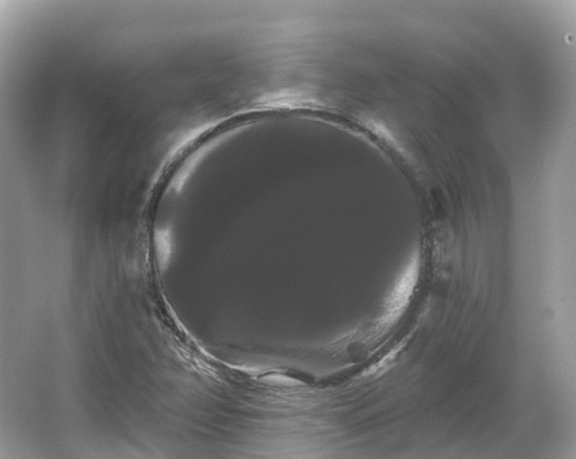 X0000066121358200603131317