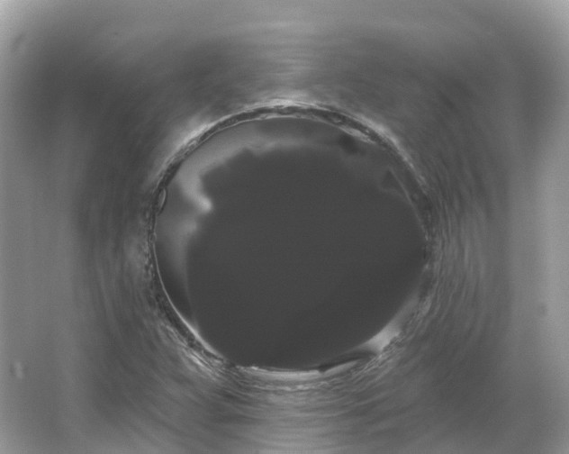 X0000066121359200603131317