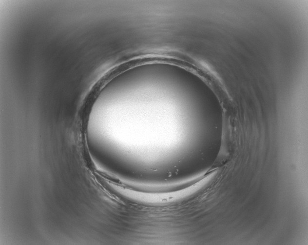 X0000066121360200603131317