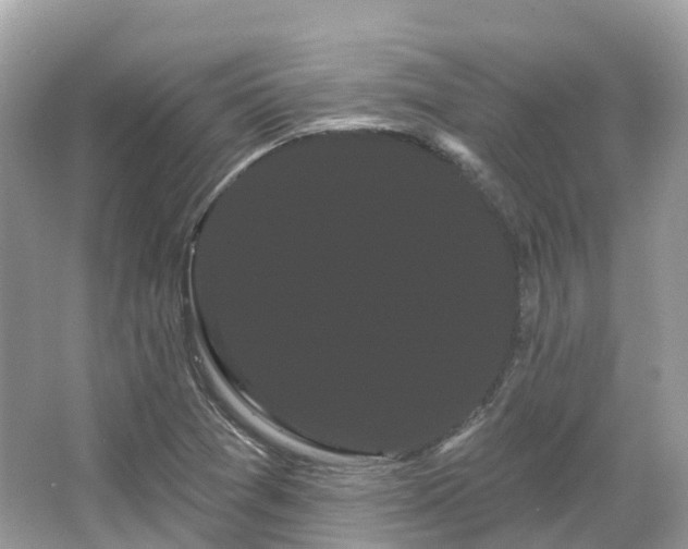 X0000066121361200603131317