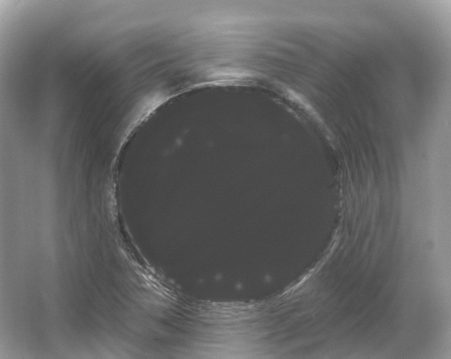 X0000066121362200603131317