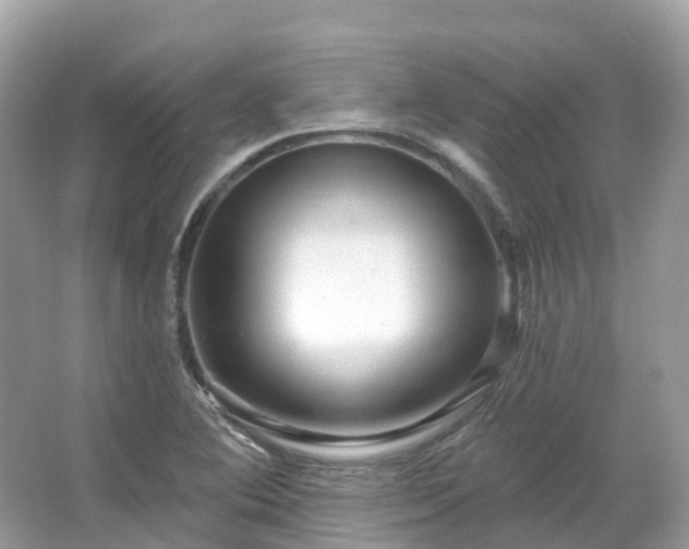 X0000066121364200603131317