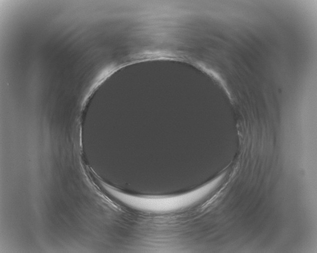 X0000066121365200603131317