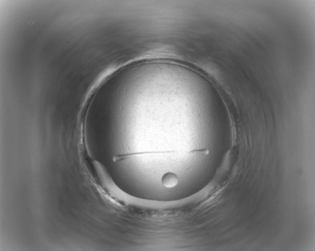 X0000066121366200603131317