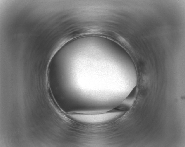 X0000066121370200603131317