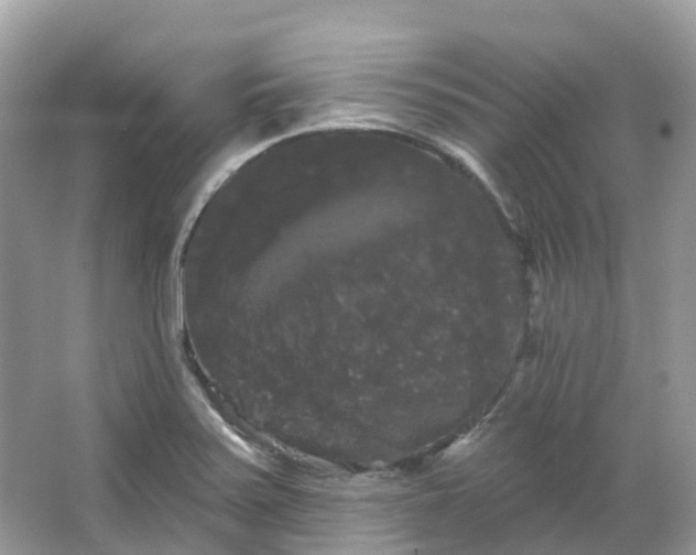 X0000066121371200603131317