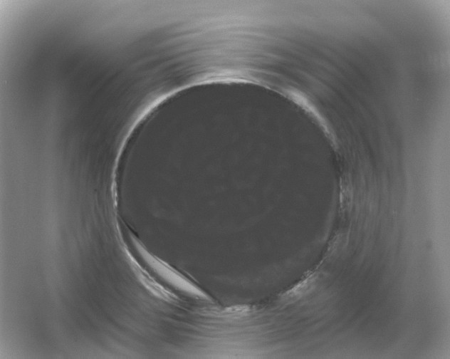 X0000066121372200603131317