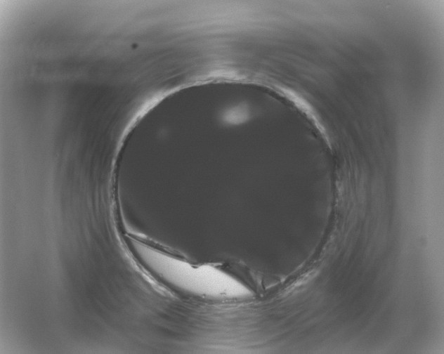 X0000066121373200603131317