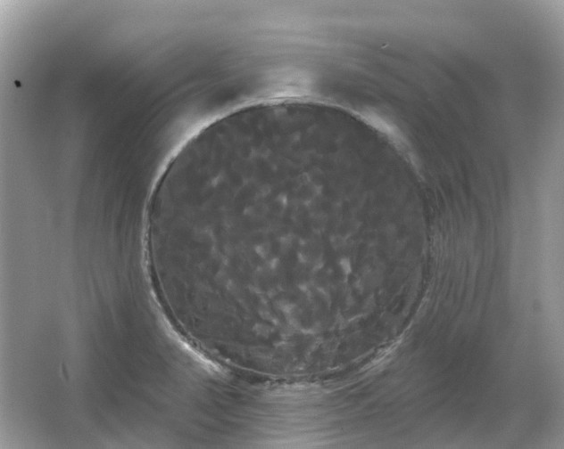 X0000066121374200603131317