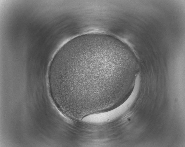 X0000066121375200603131317