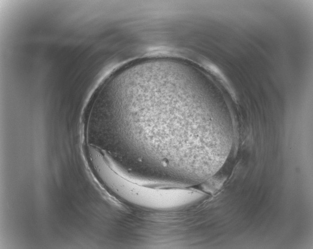 X0000066121376200603131317