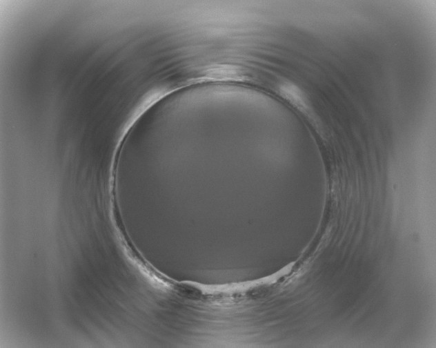 X0000066121378200603131317