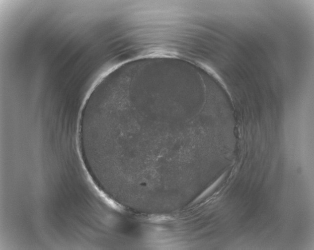 X0000066121379200603131317