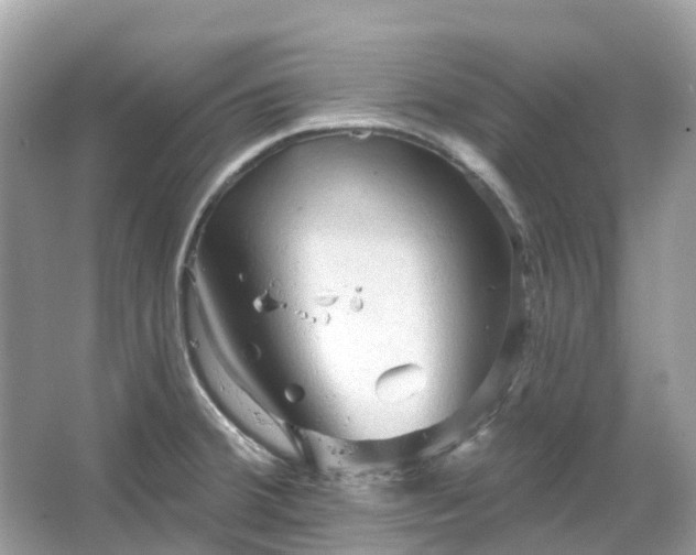 X0000066121380200603131317