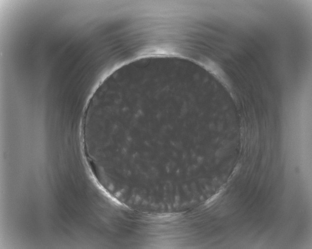 X0000066121382200603131317