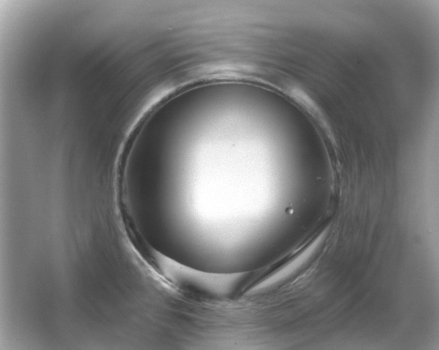 X0000066121384200603131317