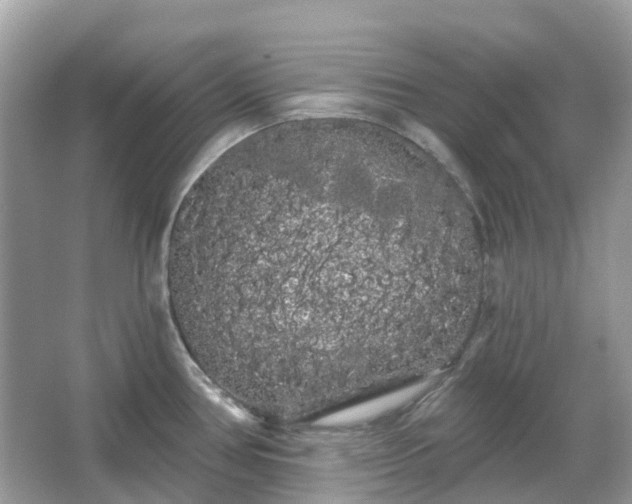 X0000066121386200603131317