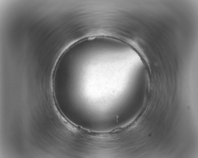 X0000066121388200603131317