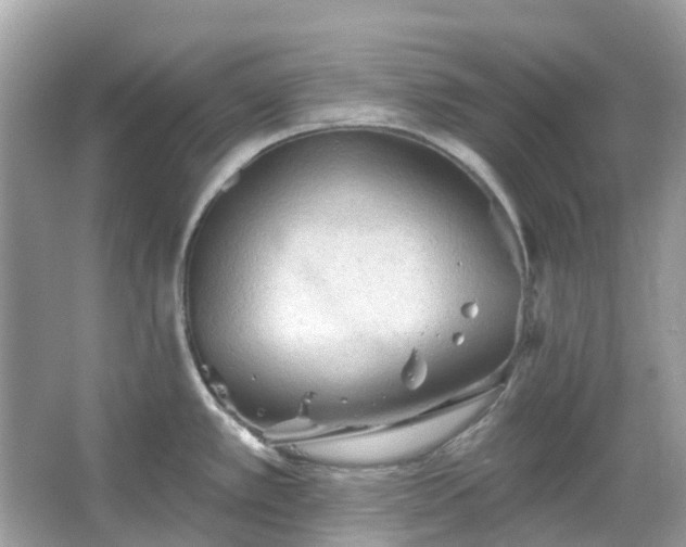 X0000066121389200603131317