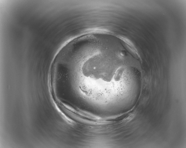 X0000066121391200603131317