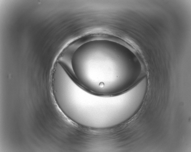 X0000066121392200603131317