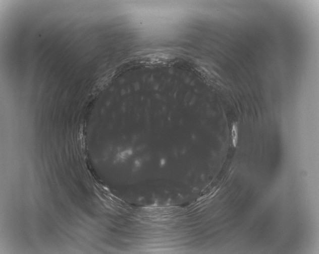 X0000066121395200603131316