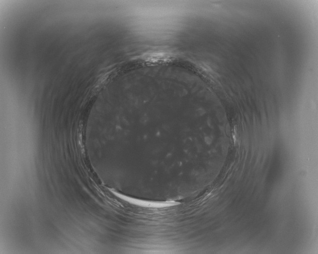 X0000066121396200603131316