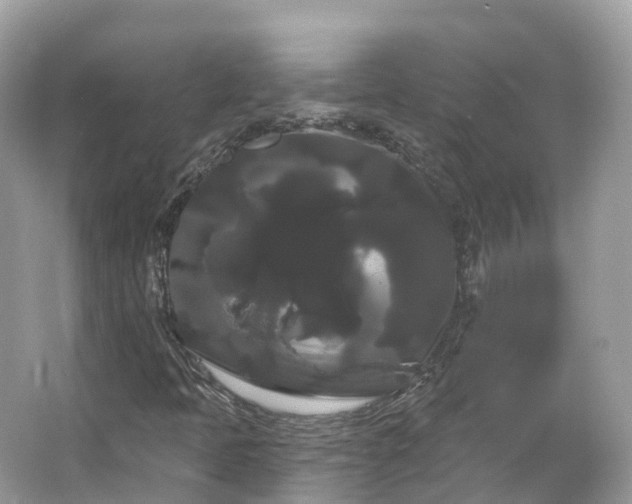 X0000066121397200603131316