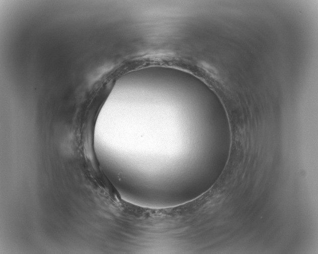 X0000066121398200603131316