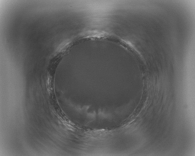 X0000066121399200603131316