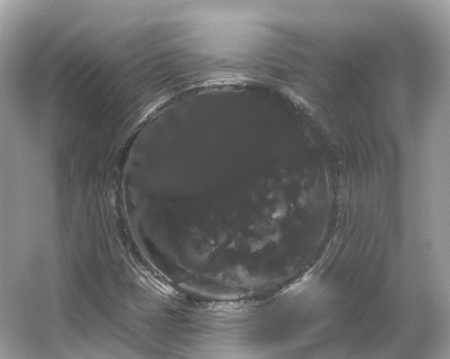 X0000066121401200603131316