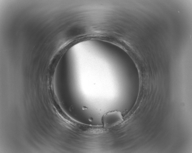 X0000066121402200603131316