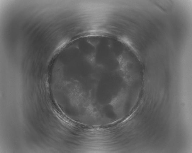 X0000066121403200603131316