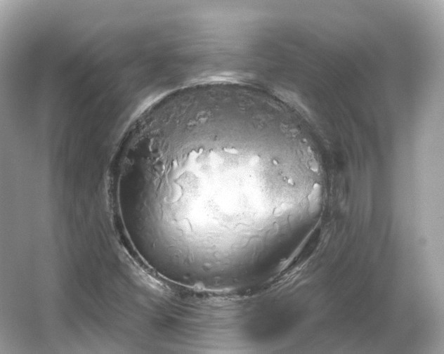 X0000066121404200603131316