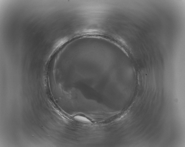 X0000066121405200603131316