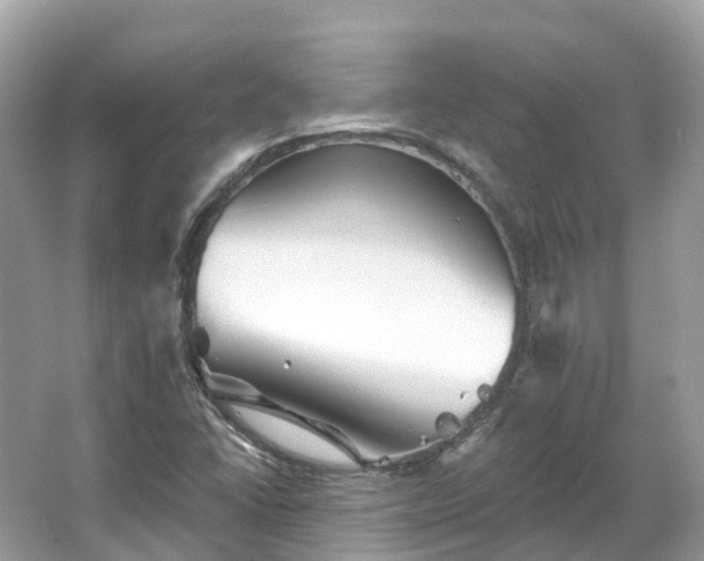 X0000066121406200603131316