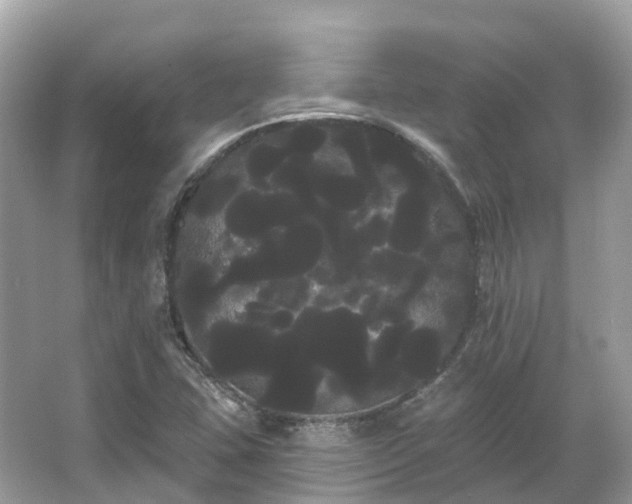 X0000066121407200603131316