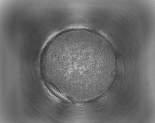 X0000066121408200603131316