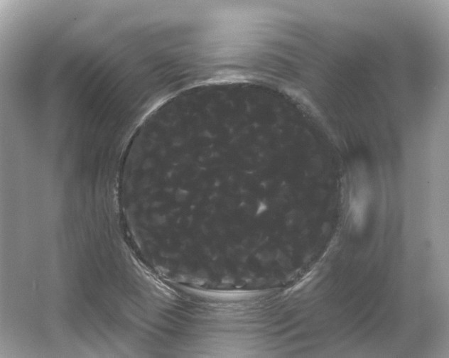 X0000066121409200603131316