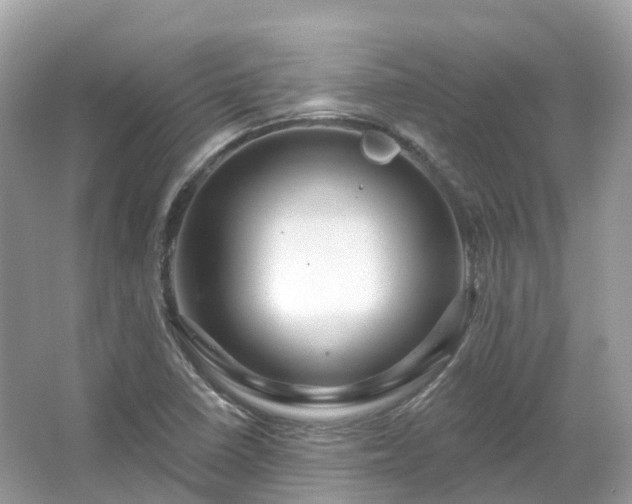 X0000066121410200603131316