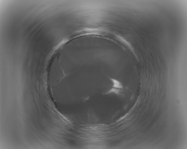 X0000066121411200603131316