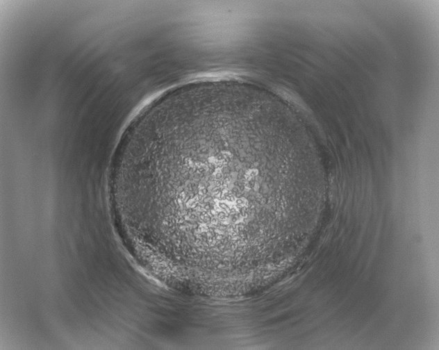 X0000066121412200603131316