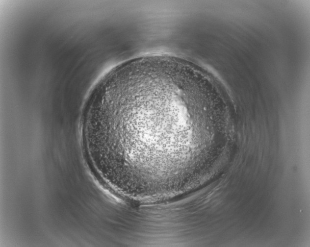 X0000066121416200603131316