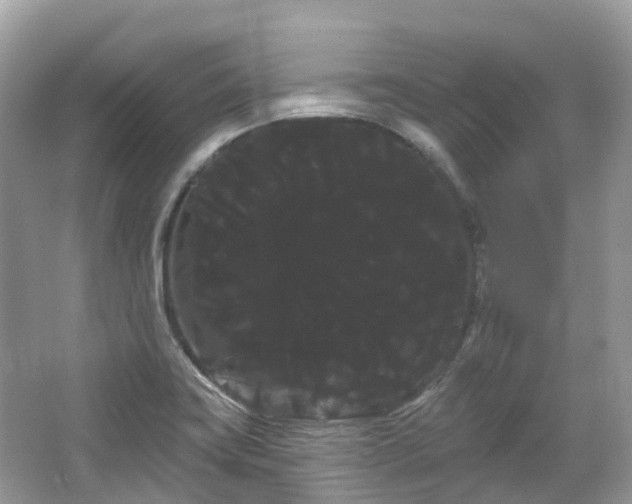 X0000066121419200603131316