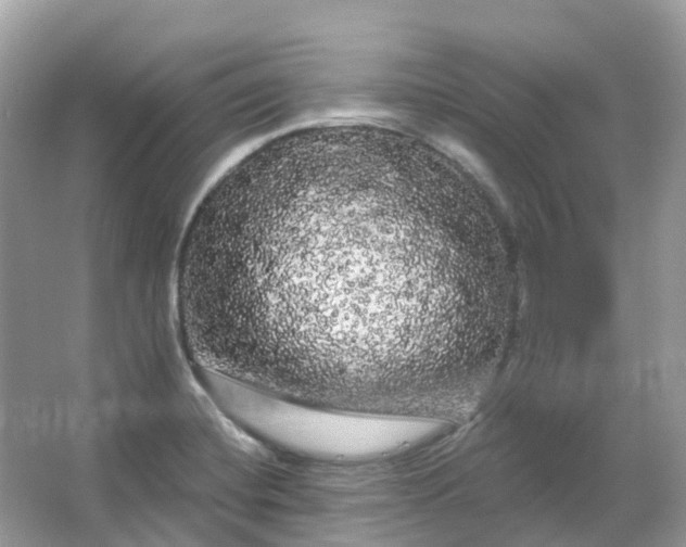 X0000066121420200603131316