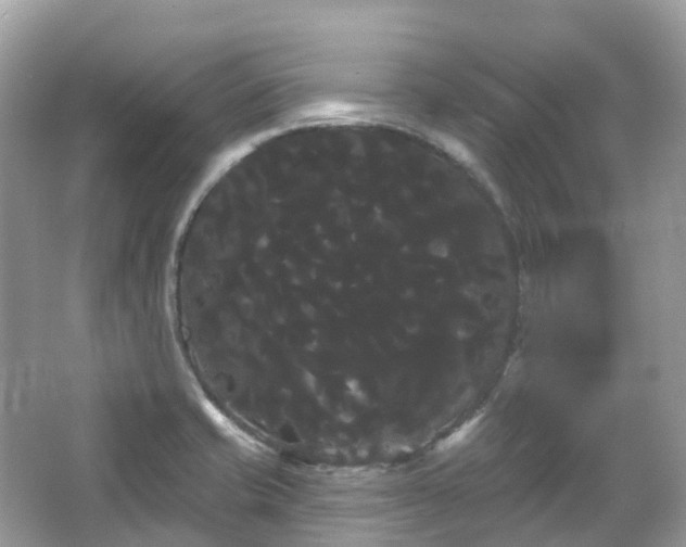 X0000066121421200603131316