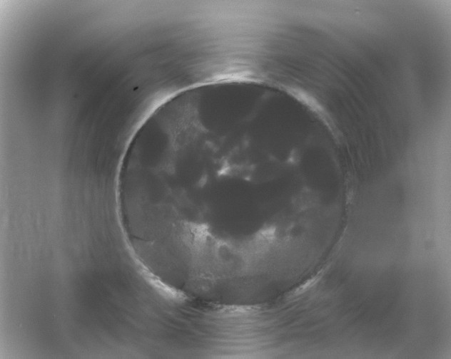 X0000066121423200603131316