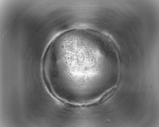 X0000066121424200603131316