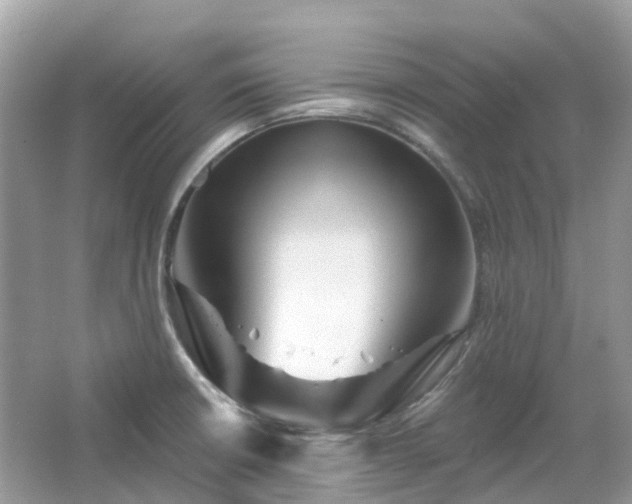 X0000066121426200603131316