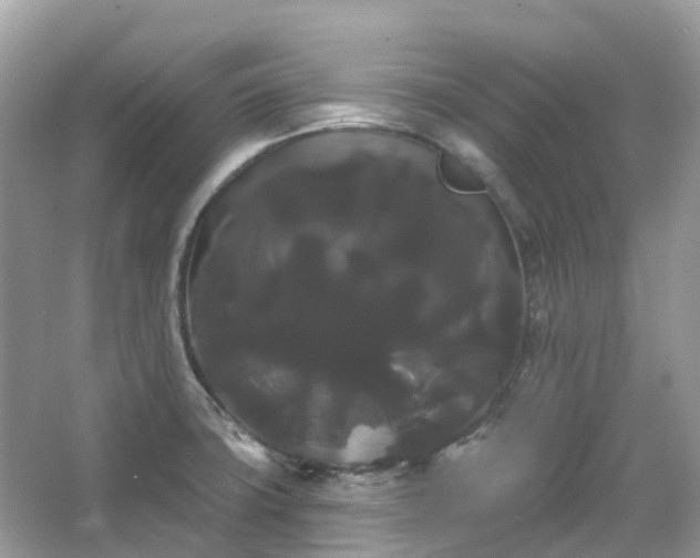 X0000066121427200603131316